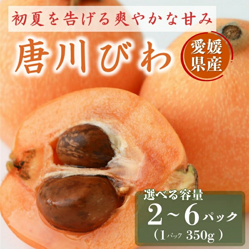 【ふるさと納税】びわ 唐川びわ 【選べる容量】350g×2～6パック 【2026年5月下旬以降発送】ブランド認定品 季節限定 数量限定 人気 枇杷 フルーツ 果物 旬 甘い お取り寄せ 伊予市 愛媛