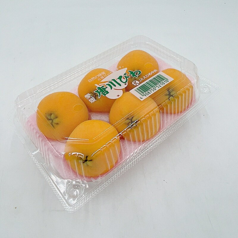 【ふるさと納税】びわ 唐川びわ 【選べる容量】350g×2～6パック 【2026年5月下旬以降発送】ブランド認定品 季節限定 数量限定 人気 枇杷 フルーツ 果物 旬 甘い お取り寄せ 伊予市 愛媛
