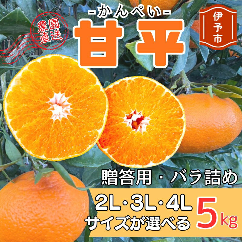 楽天市場】かん ぺい みかん 贈答用の通販
