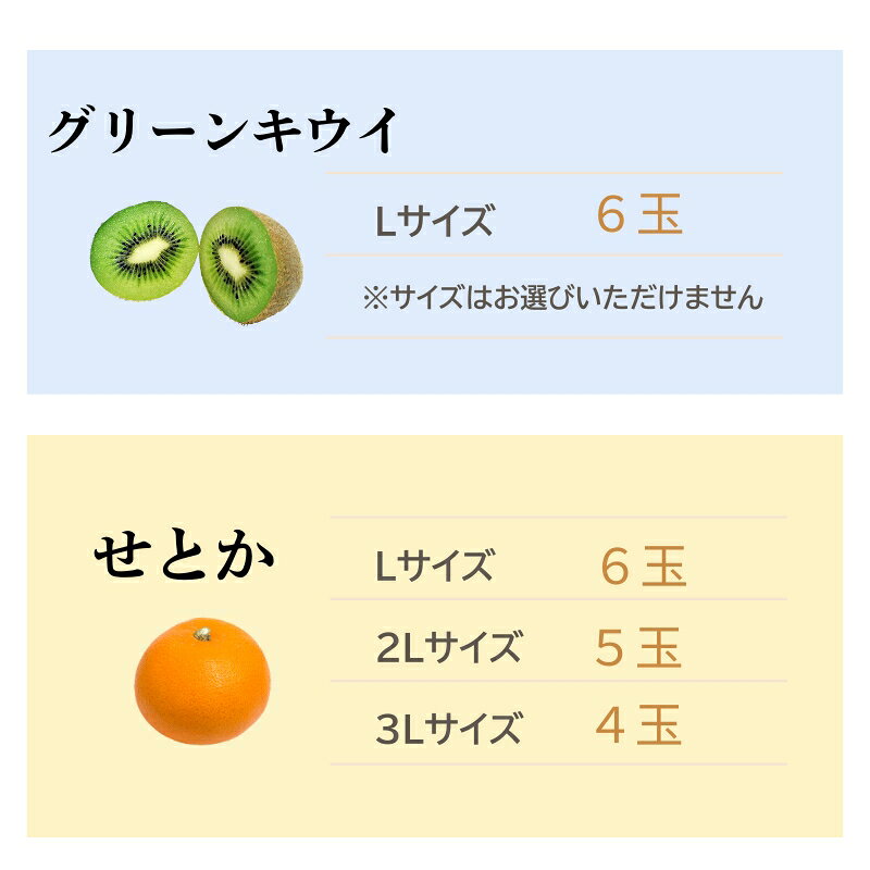 【ふるさと納税】【2027年先行予約】みかん キウイ 愛媛 せとかとグリーンキウイのセット せとか グリーンキウイ 【2027年2月中旬より発送予定】 人気 数量限定 柑橘 伊予市｜B544 f382108-iyo-10001039 愛媛県伊予市 サンプル画像2