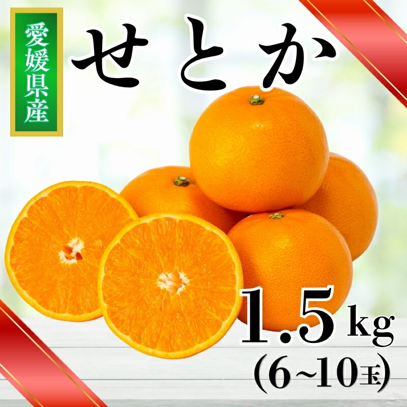 【ふるさと納税】【2027年先行予約】みかん 愛媛 せとか (1.5kg) 人気 数量限定 【2027年2月下旬以降発送予定】 柑橘 愛媛 伊予市｜B30