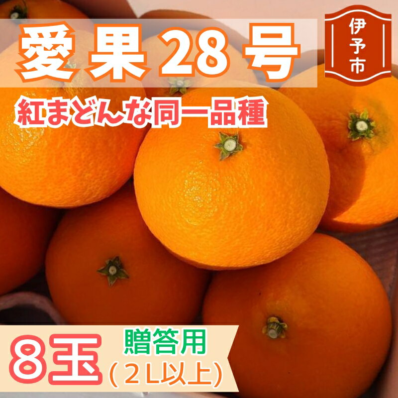 [2026年先行予約]みかん 愛果28号 贈答用 [11月下旬から順次発送予定] 紅まどんなと同一品種 柑橘 フルーツ 愛媛 伊予市|