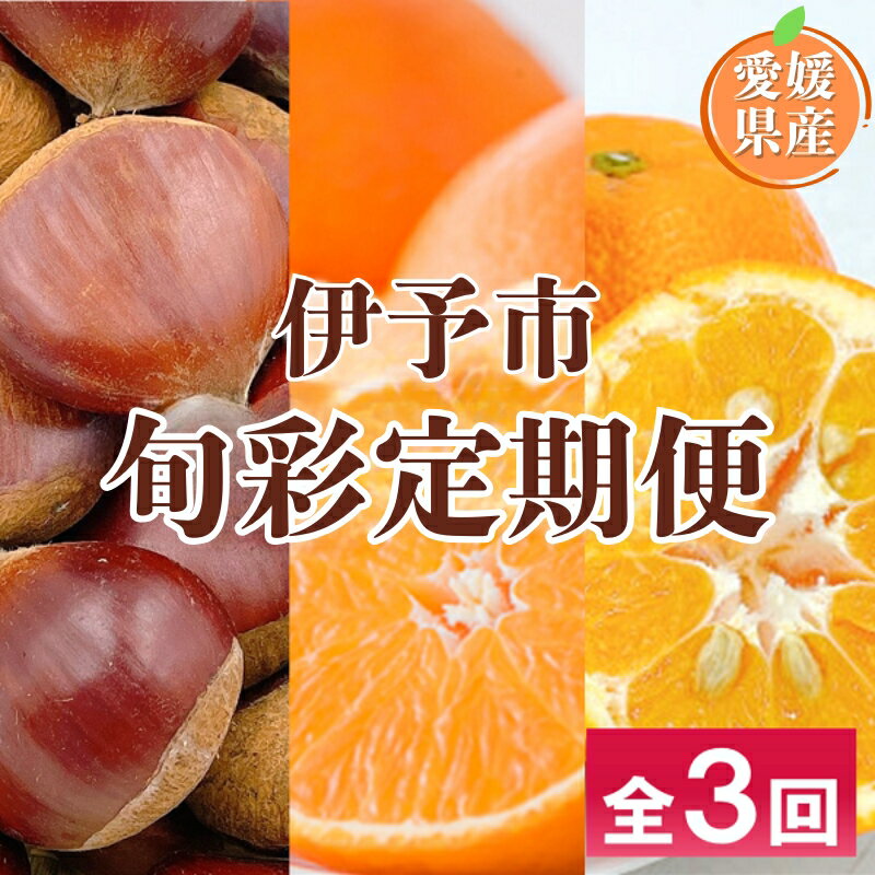 乐天商城 - 【ふるさと納税】【2026年先行予約】伊予市旬彩定期便 全3回 中山栗 紅まどんな 伊予柑 愛媛県 伊予市｜D48