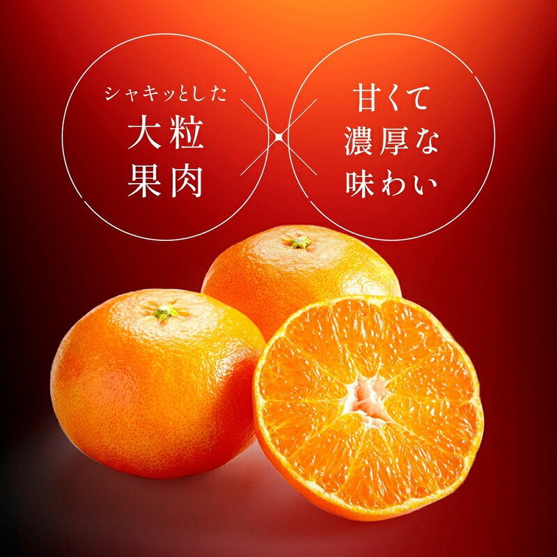【ふるさと納税】【2027年先行予約】甘平 みかん 愛媛 約3kg M～3Lサイズ混合 数量限定 先行予約 柑橘 伊予市【2月上旬から順次発送予定】｜B553 f382108-iyo-10001058 愛媛県伊予市 サンプル画像3