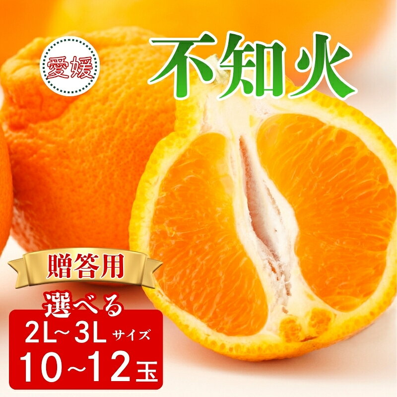 [2027年先行予約]みかん 不知火 贈答用 [選べるサイズ] 2Lサイズ 3Lサイズ [2027年3月中旬順次発送予定] 数量限定 愛媛みかん ミカン 蜜柑 果物 くだもの フルーツ 柑橘 かんきつ 柑橘類 おすすめ 人気 国産 伊予市 愛媛