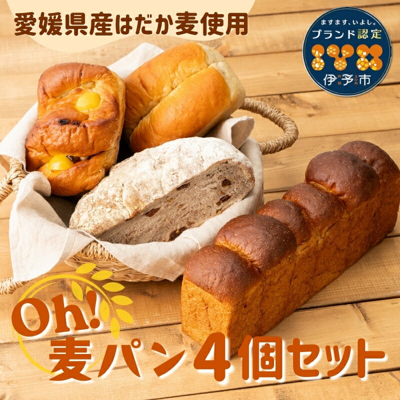 パン 無添加 老舗 4個セット ブレッド おまかせ ランダム 詰め合わせ ブランド認定 学校給食 朝食 朝ごはん 季節 おすすめ はだか麦 国産小麦 国産素材 おやつ こだわり 食物繊維豊富 安心 安全 篠崎ベーカリー 愛媛 伊予市 |B66
