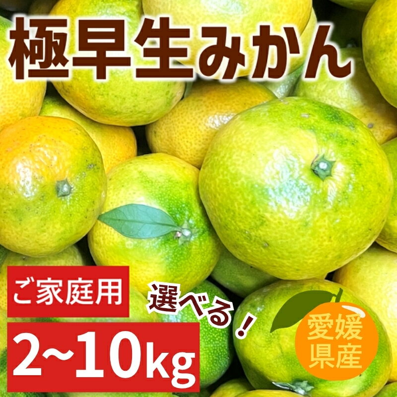 [2026年先行予約]極早生みかん ご家庭用 [選べる容量] 2kg 5kg 10kg 農園直送 [9月下旬以降順次発送予定] みかん 数量限定 愛媛県産 人気 柑橘 伊予市