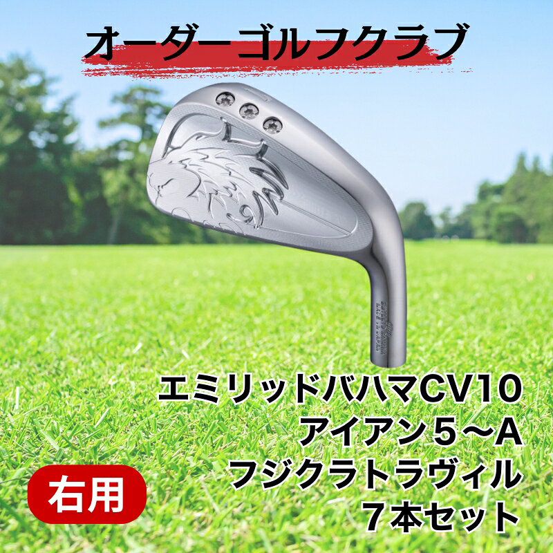 ゴルフ ゴルフクラブ エミリッドバハマCV10 アイアン5〜A オーダーメイド｜F21
