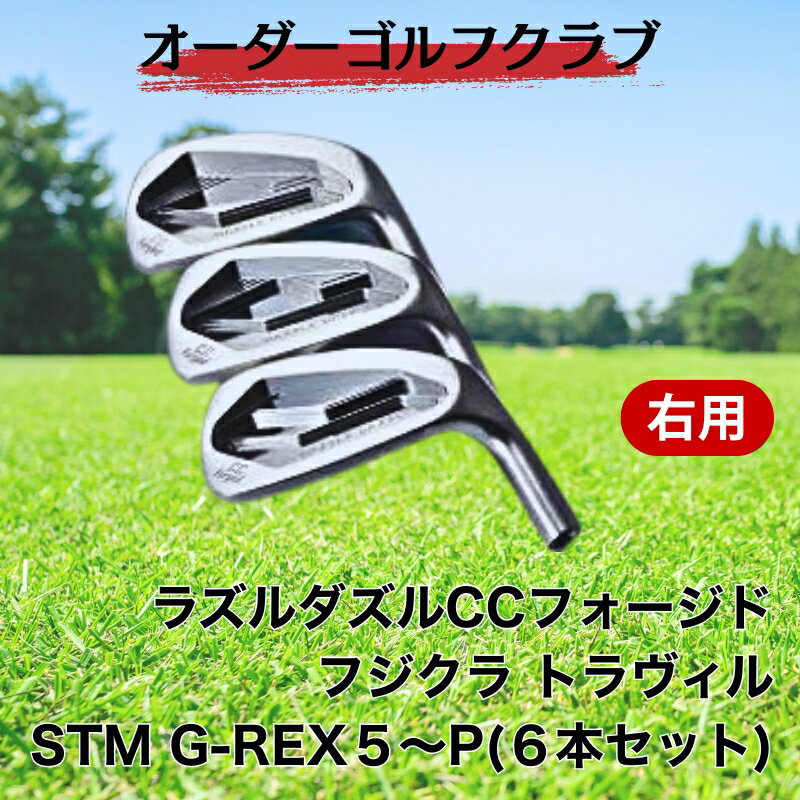 【ふるさと納税】ゴルフ ゴルフクラブ ラズルダズルCCフォージド アイアンセット フジクラ トラヴィル オーダーメイド アイズファクトリー｜F38
