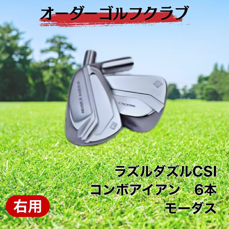 【ふるさと納税】ゴルフ ゴルフクラブ ラズルダズルCSIコンボアイアン モーダス 日本シャフト STMグリップ オーダーメイド アイズファクトリー｜F66