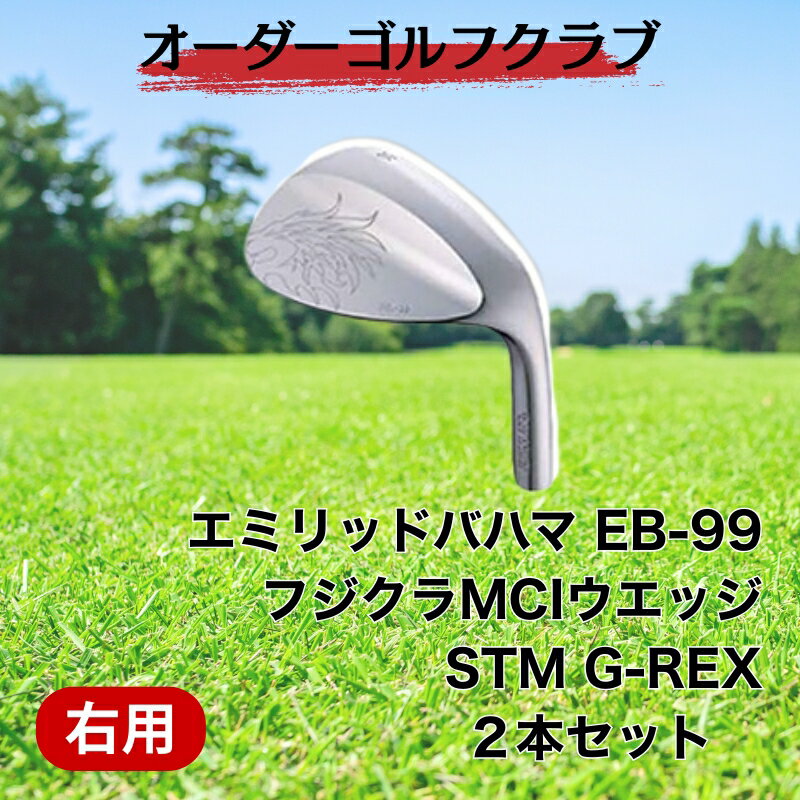 【ふるさと納税】ゴルフ ゴルフクラブ エミリッドバハマEBー99ウエッジ2本セット オーダーメイド アイズファクトリー｜F34