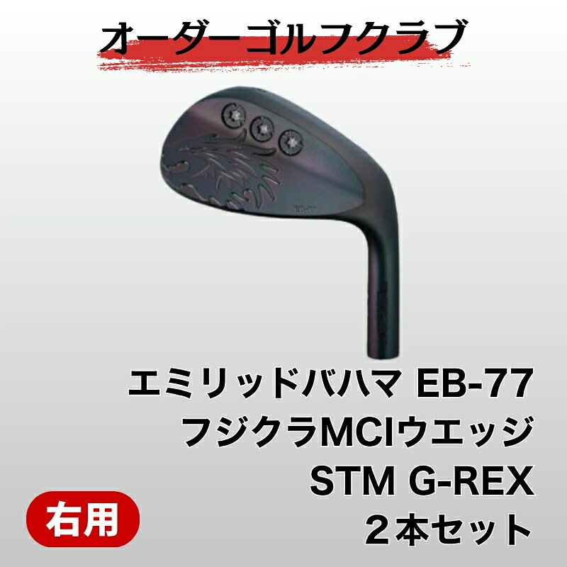 【ふるさと納税】ゴルフ ゴルフクラブ エミリッドバハマEB-77ウエッジ2本セット オーダーメイド アイズファクトリー｜F35