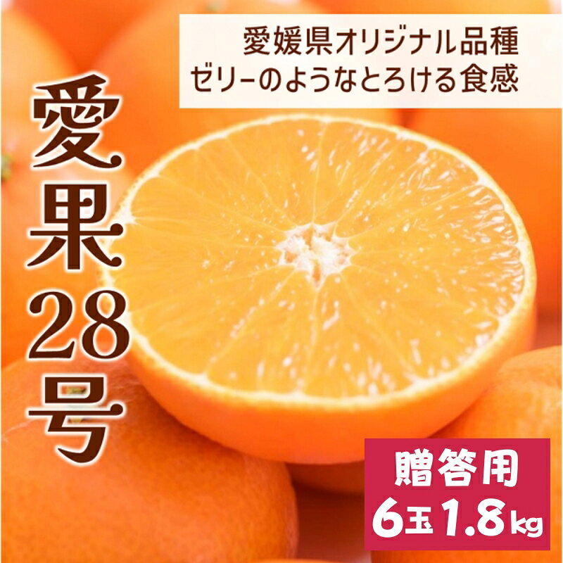 [2026年先行予約] みかん 愛果28号 1.8kg 6玉 贈答用 紅まどんな同一品種 [2026年12月以降順次発送予定] 愛媛 数量限定 愛媛県産 人気 柑橘 フルーツ 国産 おすすめ 伊予市|