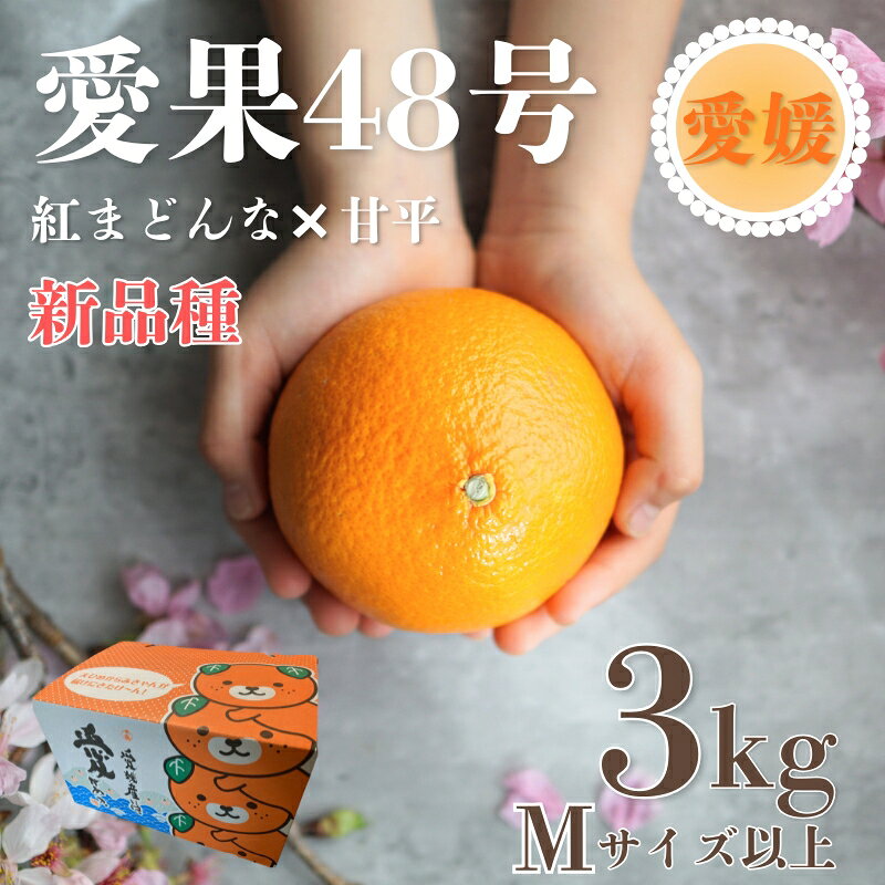 [2027年先行予約]みかん 愛果48号 3kg Mサイズ以上(みきゃん箱)紅プリンセス同一品種[2027年3月下旬から順次発送予定] 数量限定 愛媛県産 人気 柑橘 フルーツ 国産 おすすめ 伊予市 愛媛|