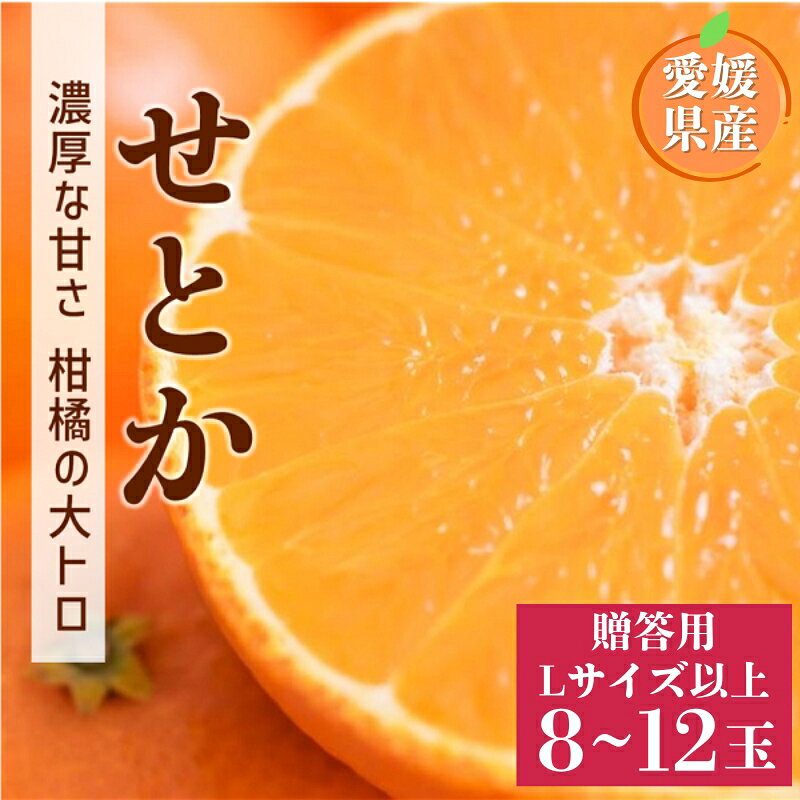 [2027年先行予約]せとか 8〜12玉 Lサイズ以上 贈答用 [2027年2月上旬より順次出荷予定] 愛媛 数量限定 愛媛県産 人気 柑橘 伊予市|