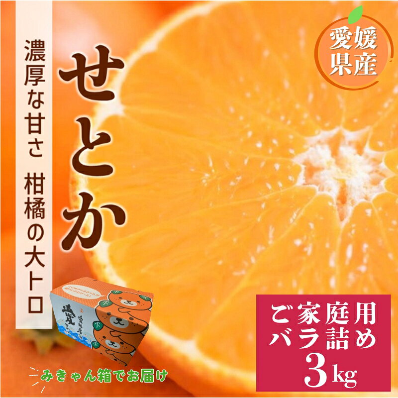 [2027年先行予約]せとか 3kg バラ詰め Mサイズ以上 [2027年2月上旬より順次発送予定] みきゃん箱 愛媛 数量限定 愛媛県産 人気 柑橘 フルーツ 国産 おすすめ 伊予市|