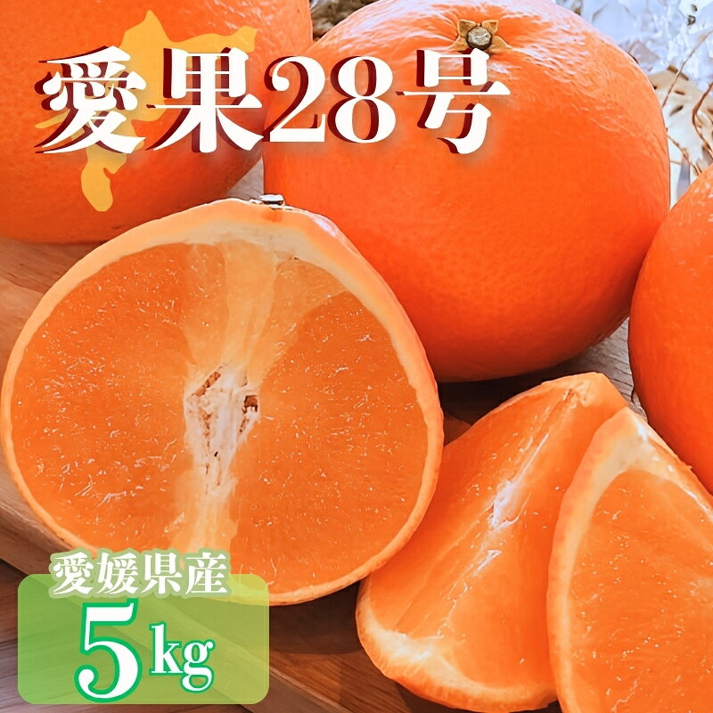 [2026年先行予約] みかん 愛媛 愛果28号 紅まどんなと同一品種 5kg 家庭用 人気 数量限定 柑橘 伊予市[2026年11月下旬以降順次発送]|