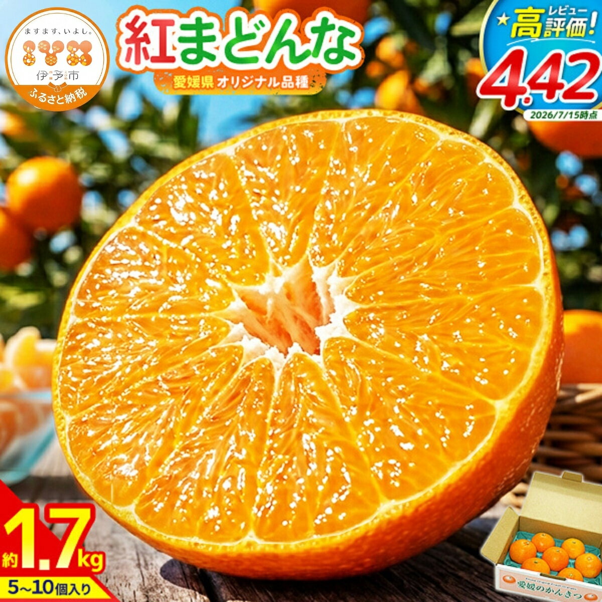 【ふるさと納税】【2026年先行予約】紅まどんな 1.7kg (5～10個) 愛媛みかん 愛果28号 化粧箱入り 【11月下旬より順次発送予定】 紅マドンナ まどんな マドンナ みかん ミカン 蜜柑 果物 くだもの フルーツ 柑橘 かんきつ 愛媛果試第28号 贈答用 人気 国産 愛媛 伊予市｜B36 f382108-iyo-10000032 愛媛県伊予市 パッケージ画像