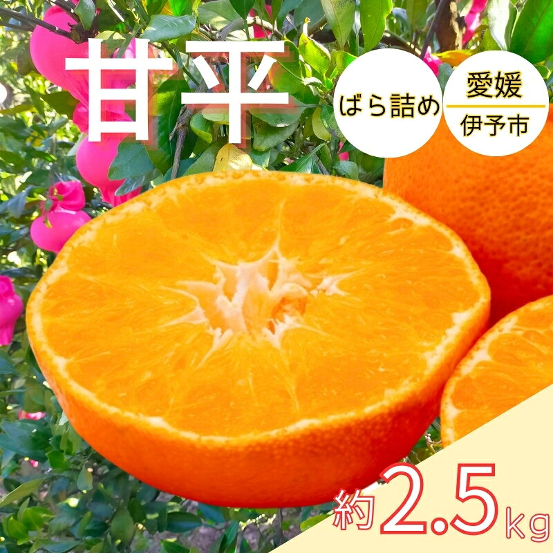 みかん 甘平 約2.5kg バラ詰め 数量限定【2月上旬から順次発送予定】 愛媛 人気 柑橘 国産 フルーツ 伊予市｜B519