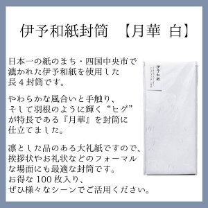 【ふるさと納税】伊予和紙封筒100枚【月華 白】