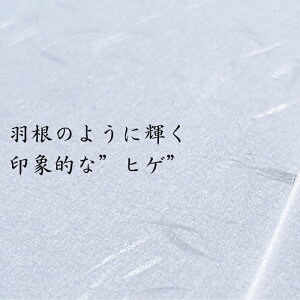 【ふるさと納税】伊予和紙封筒100枚【月華 白】