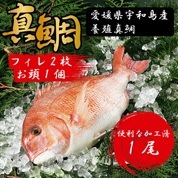 愛媛県産養殖真鯛フィレ2枚(お頭付き冷凍)