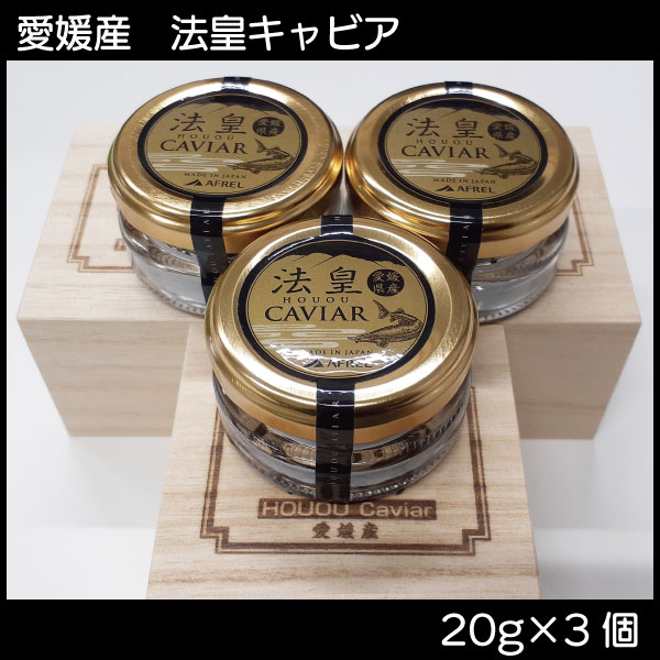 【ふるさと納税】 キャビア 20g CAVIAR caviar 3個 セット チョウザメ ベステル 魚卵 桐箱入り 高級 冷凍 限定 ギフト ふるさと納税 送料無料 【四国中央市 紙のまち 日本一】