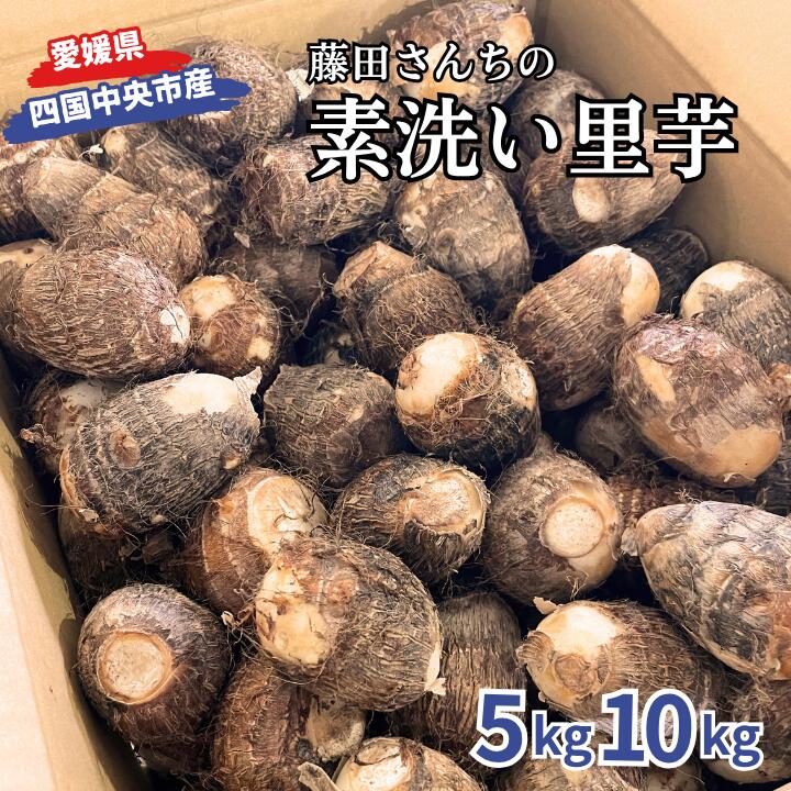 里芋 さといも 芋 いも 5kg 10kg 女早生 新鮮 柔らかい やわらかい もっちり あまい 四国中央市産 送料無料