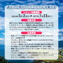 愛媛県四国中央市の画像3