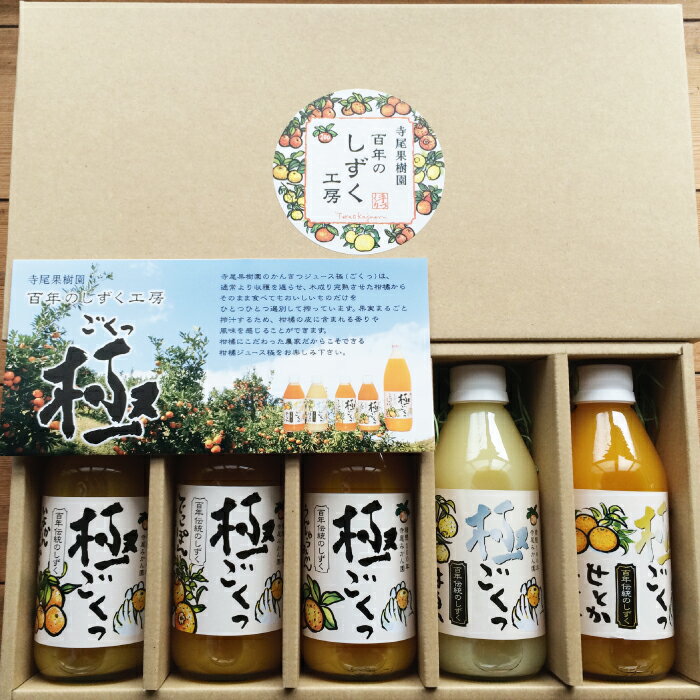 【ふるさと納税】柑橘ジュース「極っ」5種小瓶セット