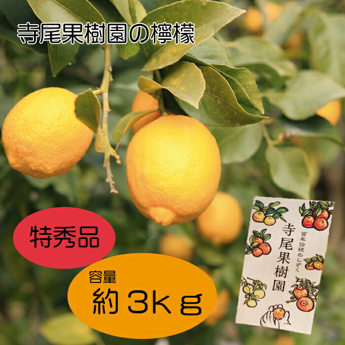 檸檬 特秀品 3kg(土居町天満産)