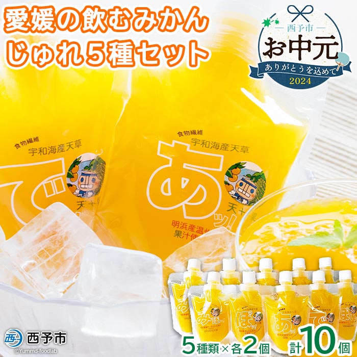 【ふるさと納税】【お中元】＜愛媛の飲むみかんじゅれ 5種セット 計10個(5種類×各2個)＞ 飲むゼリー 果物 温州みかん 伊予柑 デザート スイーツ 御中元 ギフト 贈り物 感謝 あけはまシーサイドサンパーク 贈答用 愛媛県 西予市【常温】『ご希望の配送時期をお選びください』