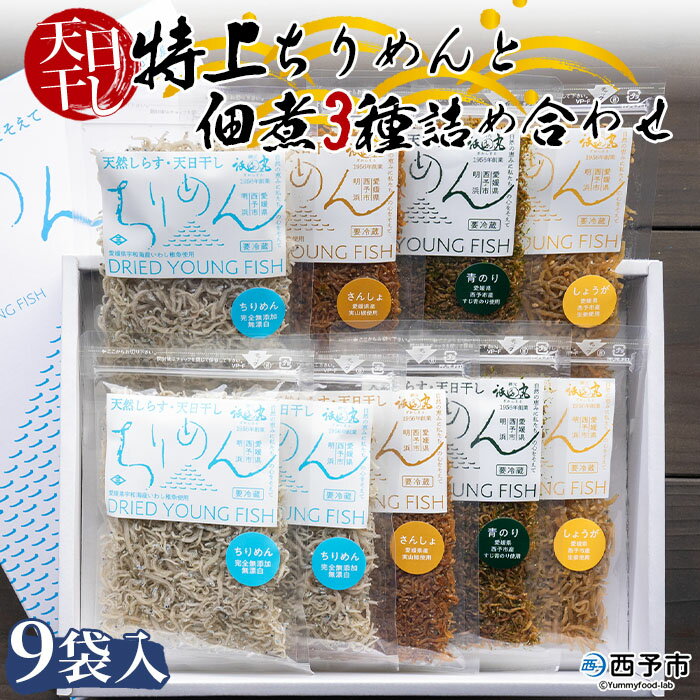 3位! 口コミ数「0件」評価「0」＜天日干し ちりめん＆佃煮3種 詰め合わせ 合計9袋セット ギフト箱入り＞しらす じゃこ つくだに 無添加 実山椒 しょうが ショウガ 生姜･･･ 