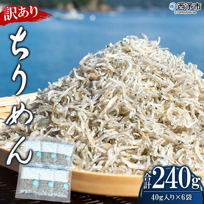 [訳あり ちりめん 合計240g(40g入り×6袋)] しらす シラス じゃこ 小分け おすそ分け 無添加 魚 さかな 小魚 海産物 水産加工品 おにぎり 具材 おつまみ おやつ ご家庭用 のし 特産品 網元・祇園丸 愛媛県 西予市[冷蔵]『1か月以内に順次出荷予定』