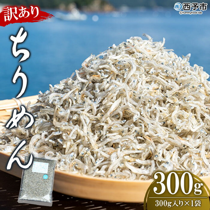 [訳あり ちりめん 300g入り 1袋] しらす シラス じゃこ 無添加 魚 さかな 小魚 海鮮 海産物 水産加工品 おにぎり 具材 おつまみ おやつ ご家庭用 のし 特産品 網元・祇園丸 愛媛県 西予市 [冷蔵]『1か月以内に順次出荷予定』