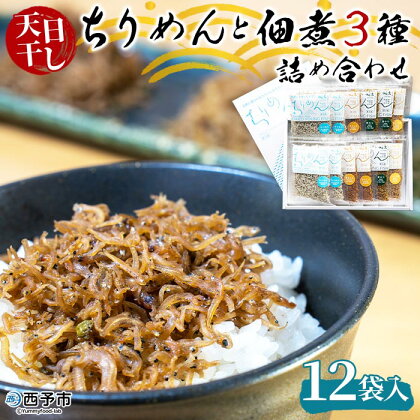 ＜天日干し ちりめん＆佃煮3種 詰め合わせ 合計12袋セット ギフト箱入り＞しらす じゃこ 海産物 魚介 つくだに 無添加 実山椒 しょうが ショウガ 生姜 青のり おかず おつまみ 贈答用 食べ比べ 網元・祇園丸 愛媛県 西予市【冷蔵】『1か月以内に順次出荷』