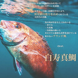 【ふるさと納税】＜白寿 真鯛 約400g と秘伝のタレ＞※1か月以内に順次出荷します。 まだい 刺身 マダイ 養殖 お祝い 特産品 魚 赤坂水産 寿司 和泉屋 愛媛県 西予市 【冷蔵】･･･ 画像1