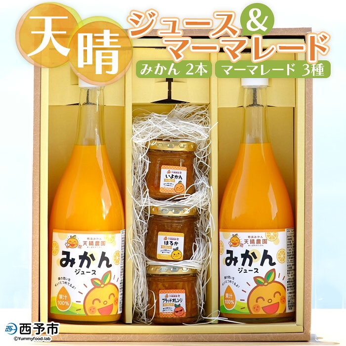 ＜天晴みかんジュース 720ml×2本（みかん・みかん）＆マーマレード 100g×3種セット＞ ※1か月以内に順次出荷（2月～12月） ジャム フルーツ 果物 柑橘 みかん 瓶 加工品 オレンジジュース 株式会社笑丸 特産品 愛媛県 西予市 【常温】
