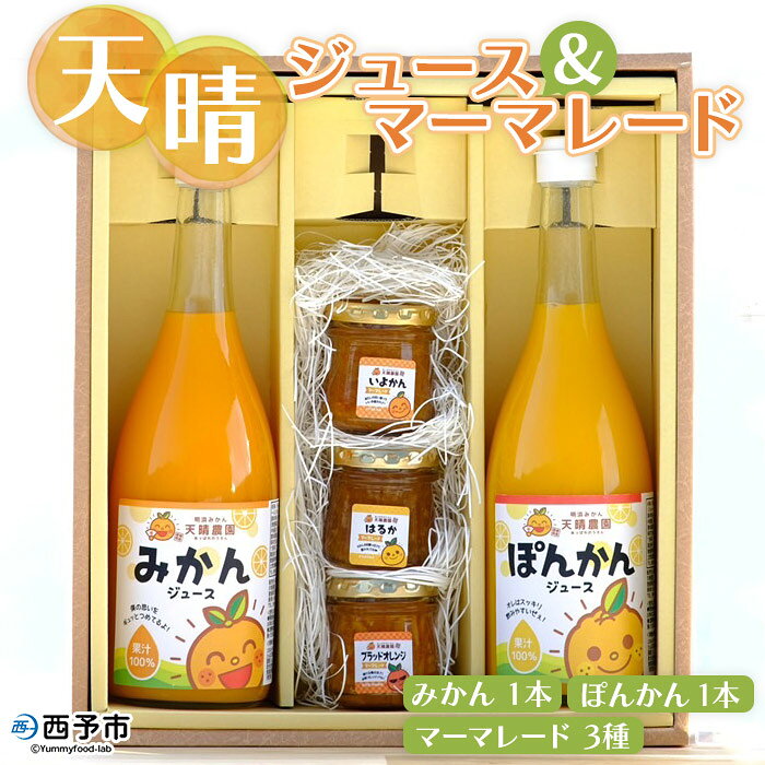 ＜天晴みかんジュース 720ml×2本（みかん・ぽんかん）＆マーマレード 100g×3種セット＞ ※1か月以内に順次出荷（2月～12月） ジャム フルーツ 果物 柑橘 みかん 瓶 加工品 オレンジジュース 株式会社笑丸 特産品 愛媛県 西予市 【常温】
