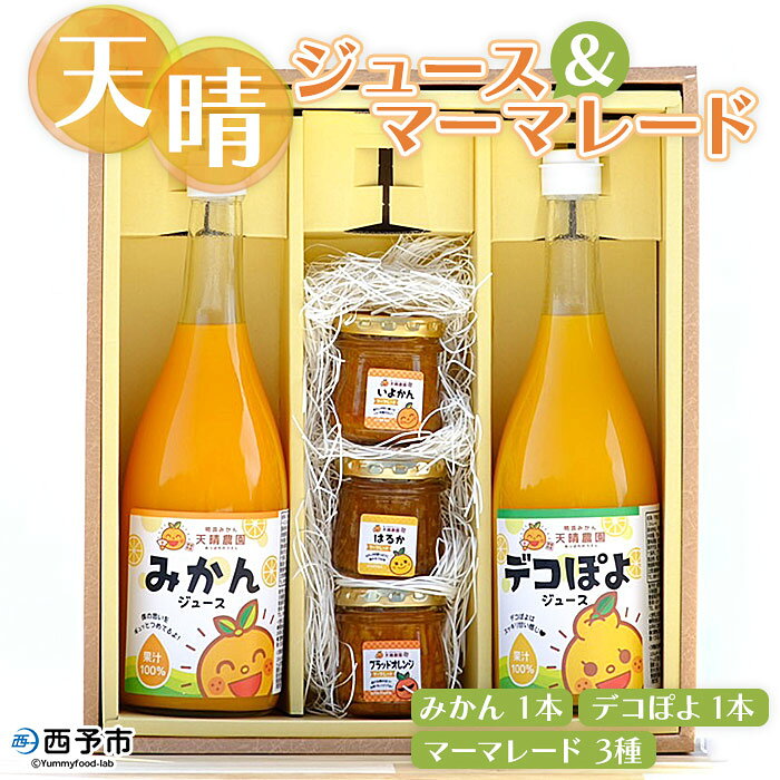 ＜天晴みかんジュース 720ml×2本（みかん・デコぽよ）＆マーマレード 100g×3種セット＞ ※1か月以内に順次出荷（2月～12月） ジャム フルーツ 果物 柑橘 みかん 不知火 瓶 加工品 オレンジジュース 株式会社笑丸 特産品 愛媛県 西予市 【常温】