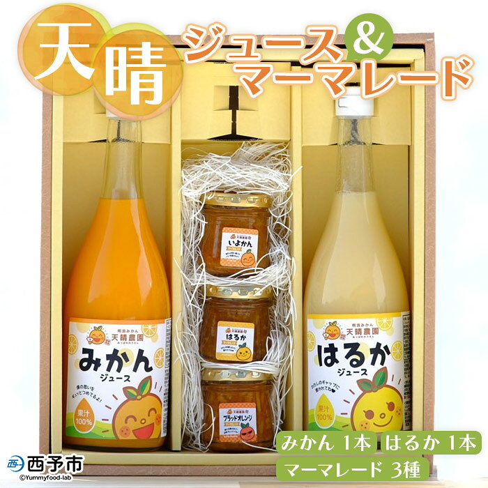＜天晴みかんジュース 720ml×2本（みかん・はるか）＆マーマレード 100g×3種セット＞ ※1か月以内に順次出荷（2月～12月） ジャム フルーツ 果物 柑橘 みかん 瓶 加工品 オレンジジュース 伊予柑 ブラッドオレンジ (株)笑丸 特産品 愛媛県 西予市 【常温】