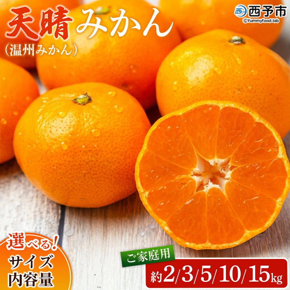 【ふるさと納税】＜愛媛県明浜産 天晴みかん（温州みかん）約2kg／3kg／5kg／10kg／15kg 小玉サイズ/s～L混合＞ 選べる 家庭用 訳あり ワケアリ 果物 くだもの フルーツ ミカン 柑橘 特産品 笑丸 愛媛県 西予市【常温】『2025年11月中旬～2026年1月上旬迄に順次出荷予定』