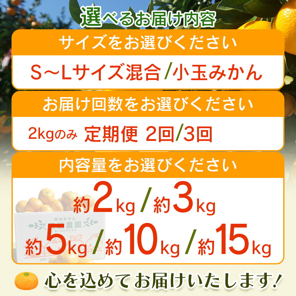 【ふるさと納税】先行予約＜笑丸みかん（温州みかん）約2kg／3kg／5kg／10kg／15kg・小玉サイズ/S〜L混合・定期便＞家庭用 訳あり 明浜産 選べる 果物 くだもの フルーツ ミカン 柑橘 特産品 笑丸 愛媛県 西予市【常温】『2026年11月中旬〜2027年1月上旬迄に順次出荷』 f382141-seiyo-10000629 愛媛県西予市 サンプル画像3