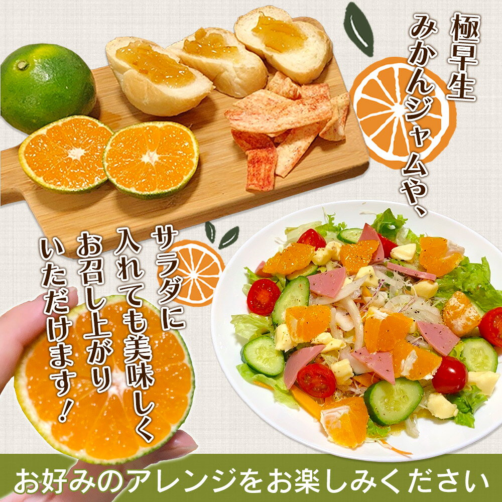 【ふるさと納税】先行予約＜天晴みかん 極早生 ご家庭用 約2kg／3kg／5kg／10kg／15kg＞ 柑橘 果物 フルーツ 期間限定 季節限定 食べて応援 特産品 温州みかん 家庭用 自宅用 のし対応 ジャム サラダ 笑丸 愛媛県 西予市【常温】『2026年9月下旬～10月中旬迄に順次出荷予定』 f382141-seiyo-10000785 愛媛県西予市 サンプル画像3
