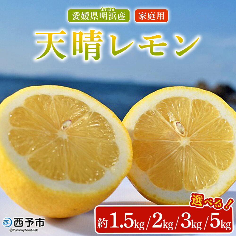 【ふるさと納税】<天晴レモン ご家庭用 約1.5kg/2kg/3kg/5kg> フルーツ 果物 くだもの レモン れもん 檸檬 柑橘 訳あり わけあり ワケアリ 自宅用 料理 国産 国産レモン 愛媛県産 特産品 株式会社笑丸 愛媛県 西予市【常温】『2025年9月~2026年1月に順次出荷予定』