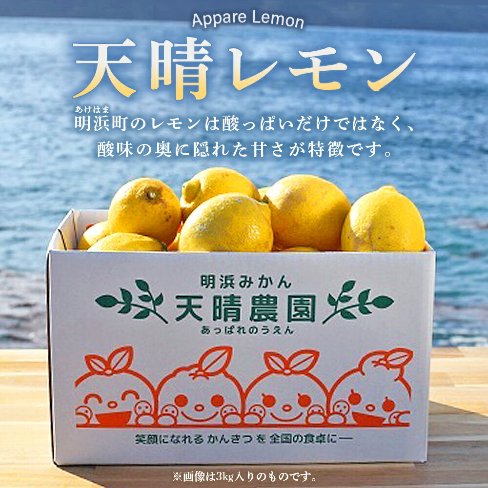 【ふるさと納税】＜天晴レモン ご家庭用 約1.5kg/2kg/3kg/5kg＞ フルーツ 果物 くだもの レモン れもん 檸檬 柑橘 訳あり わけあり ワケアリ 自宅用 料理 国産 国産レモン 愛媛県産 特産品 株式会社笑丸 愛媛県 西予市【常温】『2025年9月～2026年1月に順次出荷予定』