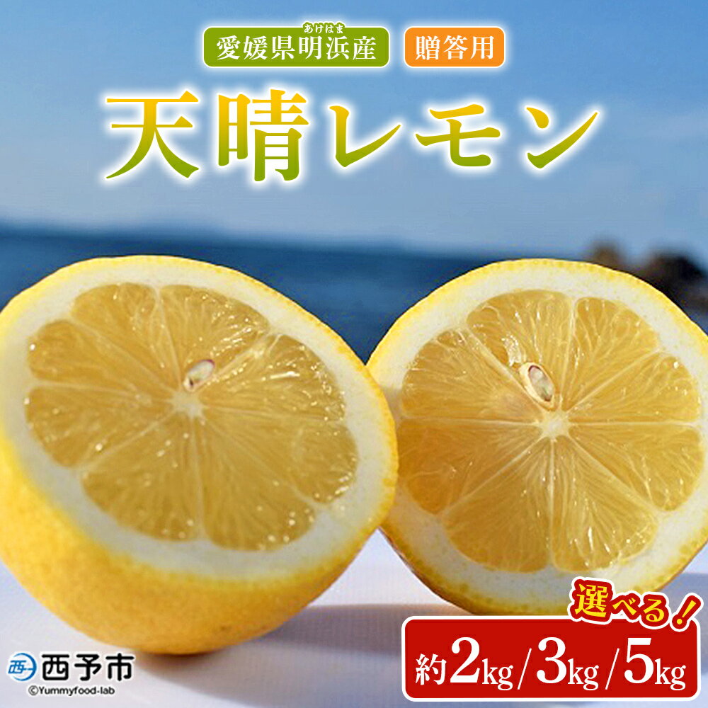 [天晴レモン 贈答用 約2kg/3kg/5kg] フルーツ 果物 くだもの レモン れもん 檸檬 柑橘 プレゼント 贈り物 お返し お礼 ギフト アレンジ 料理 国産 国産レモン 愛媛県産 特産品 株式会社笑丸 愛媛県 西予市[常温]『2025年9月〜2026年1月に順次出荷予定』