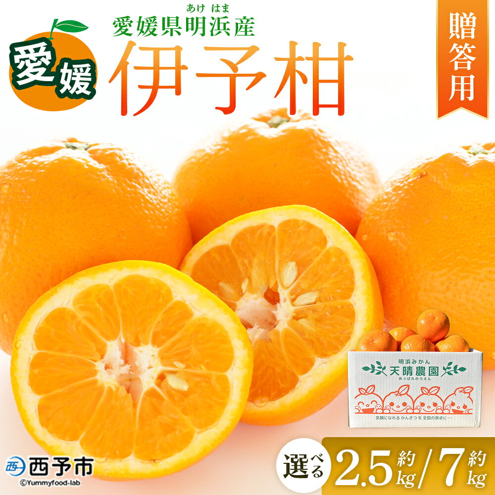 ＜伊予柑 贈答用 約2.5kg／7kg＞ 選べる 容量 内容量 ギフト いよかん イヨカン みかん 蜜柑 柑橘 果物 くだもの フルーツ ミカン 愛媛 国産 2.5キロ 7キロ 果汁 ジューシー 明浜 特産品 笑丸 愛媛県 西予市【常温】『2026年1月下旬より順次出荷予定』