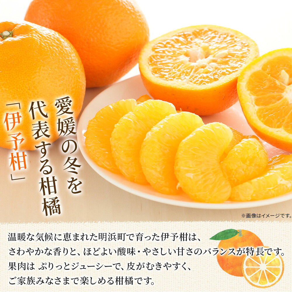 【ふるさと納税】【先行予約】＜伊予柑 家庭用 約2.5kg／7kg＞ 選べる 容量 内容量 ご家庭用 いよかん イヨカン みかん 蜜柑 柑橘 訳あり 果物 くだもの フルーツ ミカン 愛媛 国産 ジューシー 明浜 特産品 笑丸 愛媛県 西予市【常温】『2027年1月下旬より順次出荷予定』 f382141-seiyo-10001350 愛媛県西予市 サンプル画像2