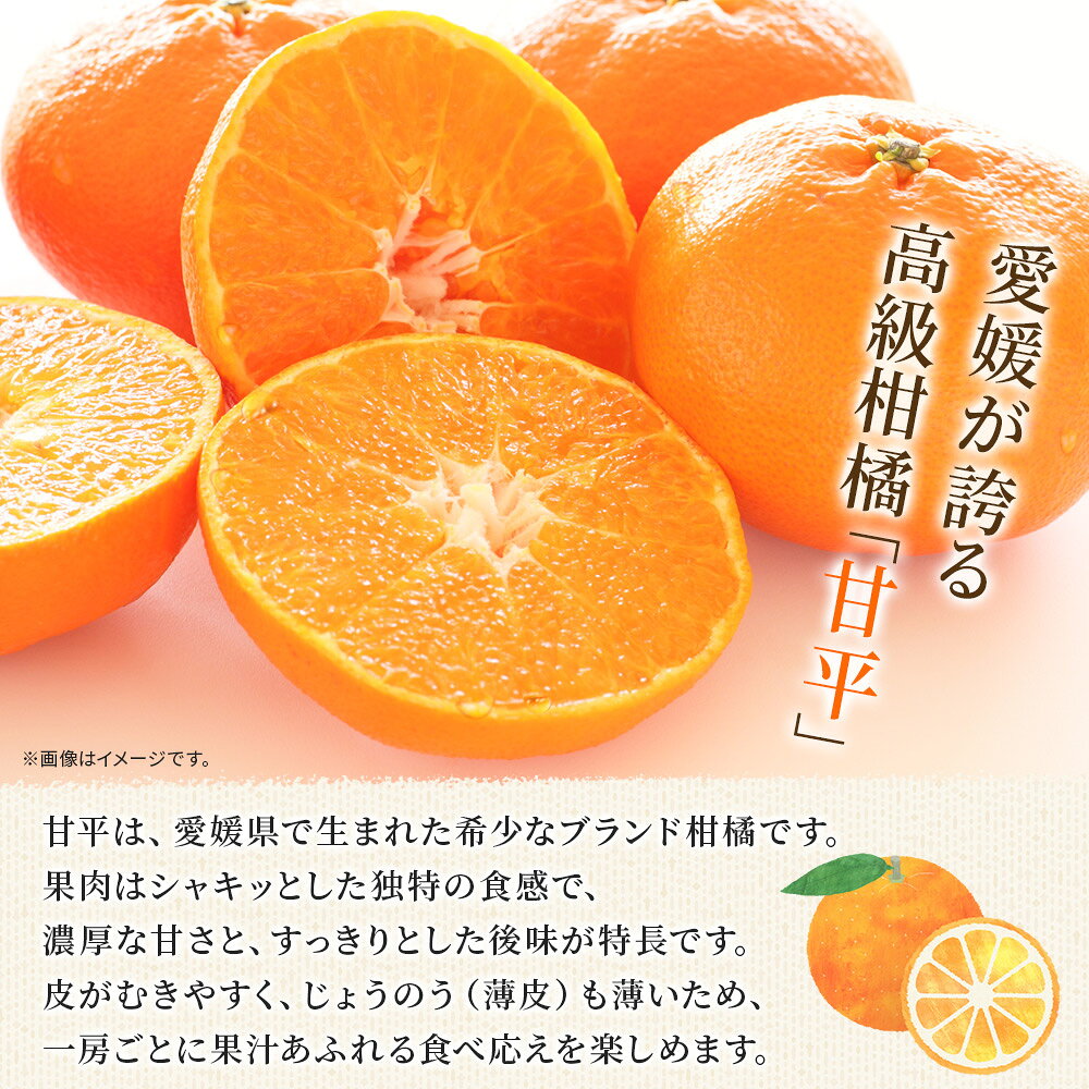 【ふるさと納税】【先行予約】＜甘平 家庭用 約1.2kg／2kg／3kg／5kg＞ 選べる 容量 内容量 ご家庭用 かんぺい 高級 柑橘 ブランド みかん 蜜柑 訳あり 果物 くだもの フルーツ ミカン 愛媛 国産 明浜 特産品 笑丸 愛媛県 西予市【常温】『2027年2月上旬より順次出荷予定』 f382141-seiyo-10001351 愛媛県西予市 サンプル画像2